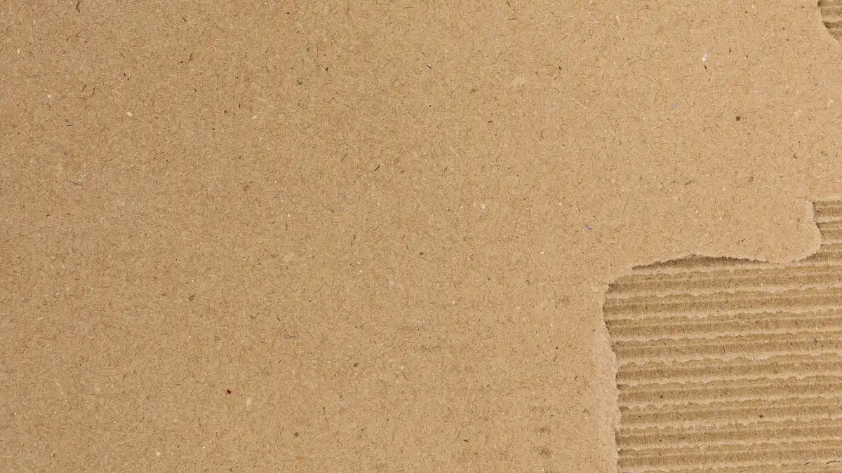 Cross-section of corrugated board showing liner and fluted medium layers